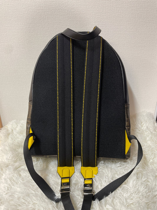 Fendi Multicolor Backpacks A-14437