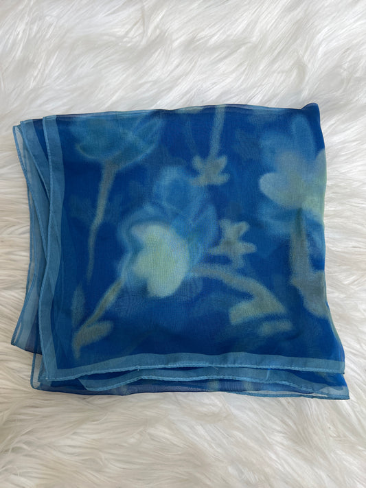Celine Blue Scarves A-17121