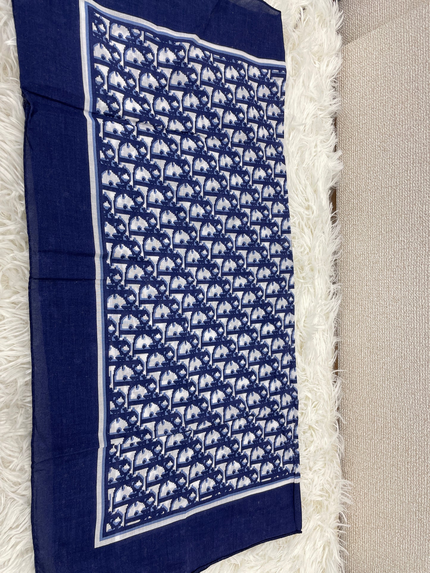 Dior Blue Scarves A-17618