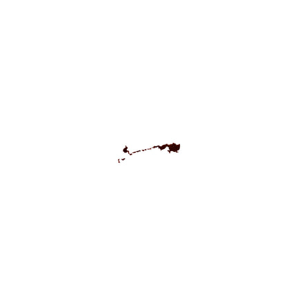 撮影済み