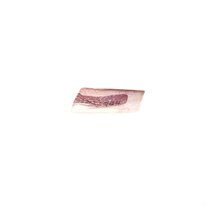 Chanel A-13901