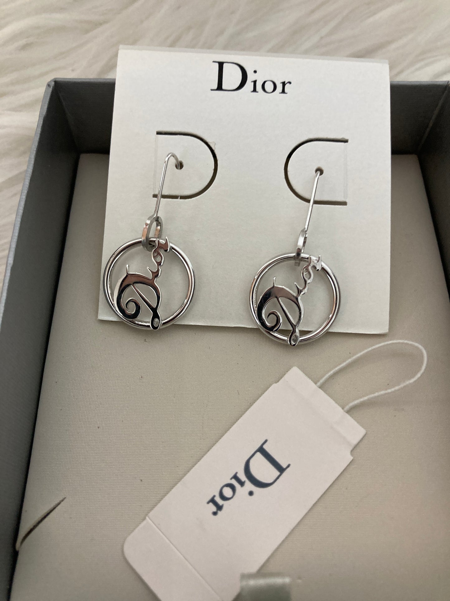 Dior Silver Earrings A-14332