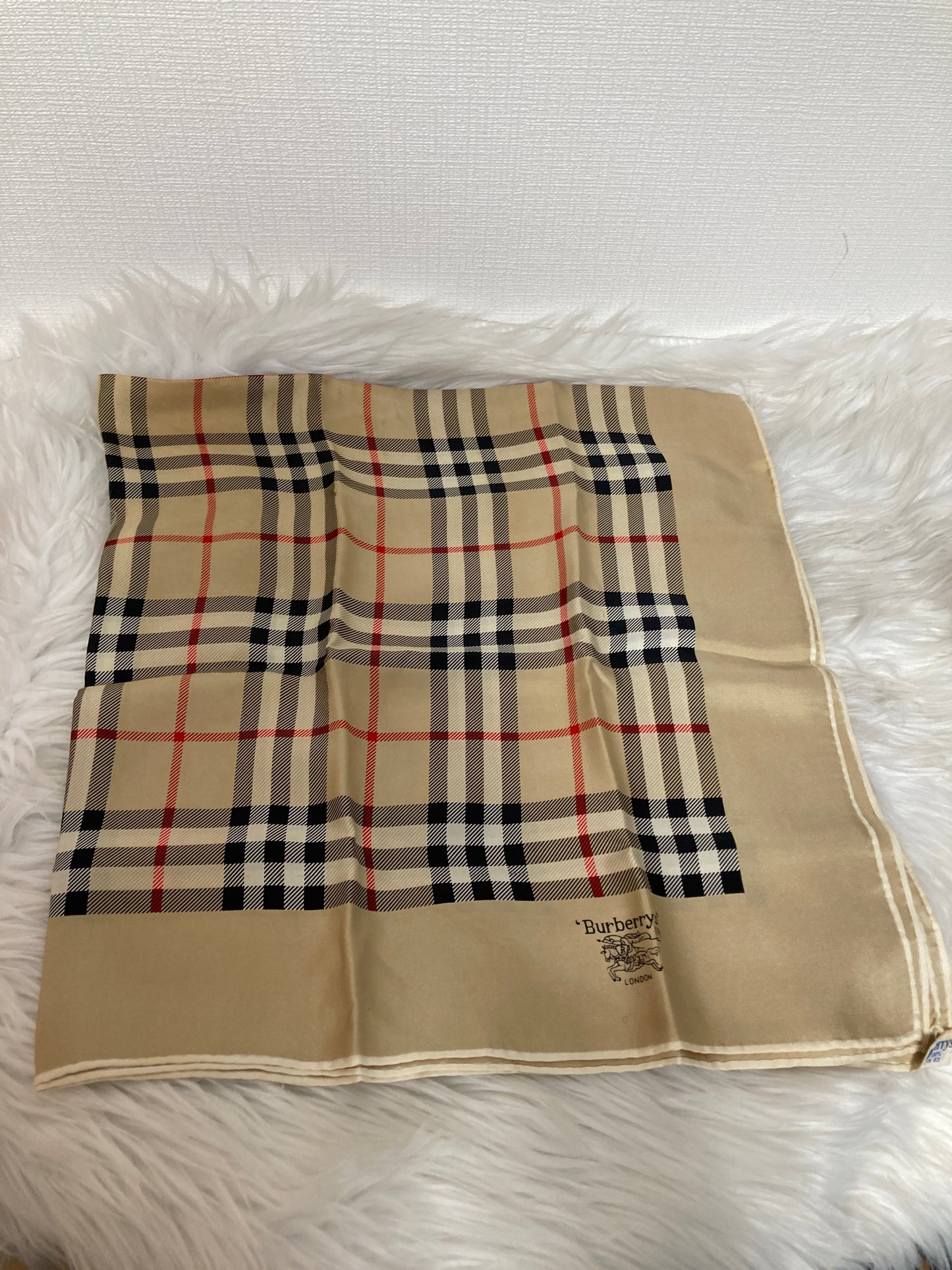 Burberry Multicolor Scarves A-14473