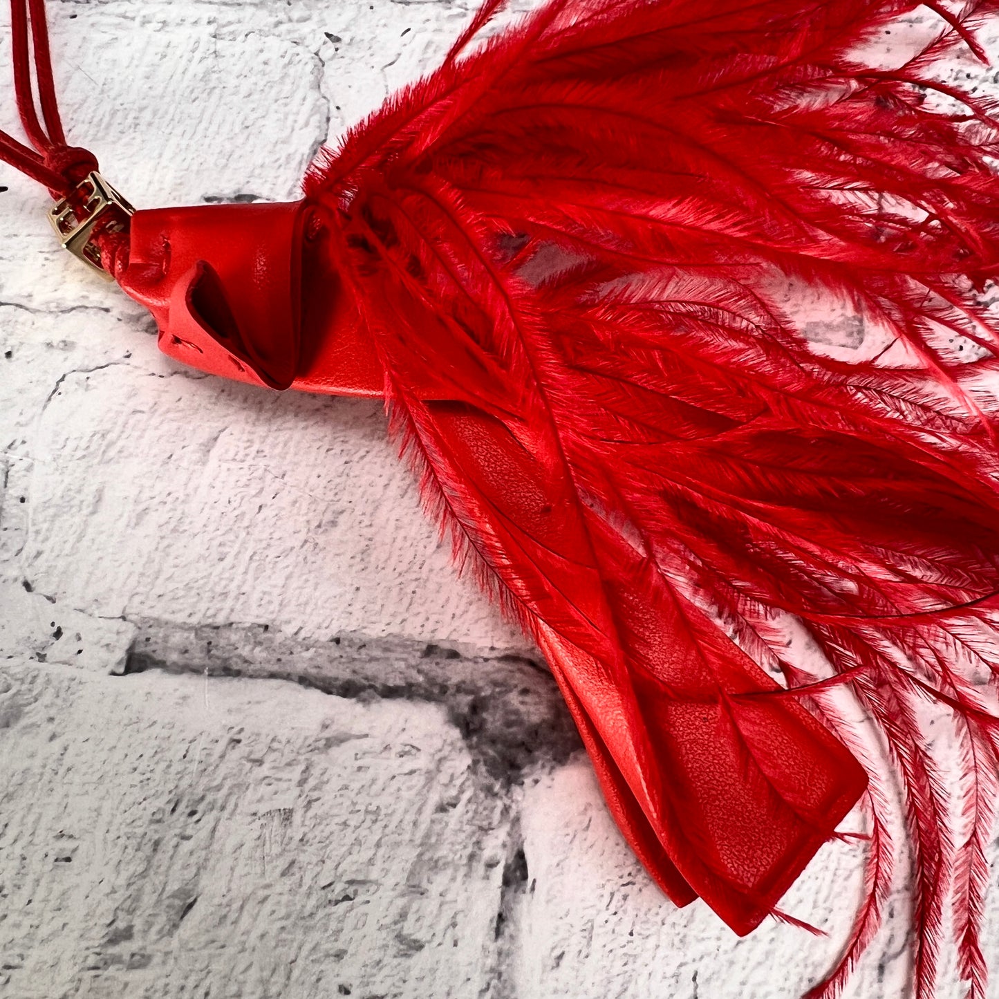 Fendi Red Small goods A-14712
