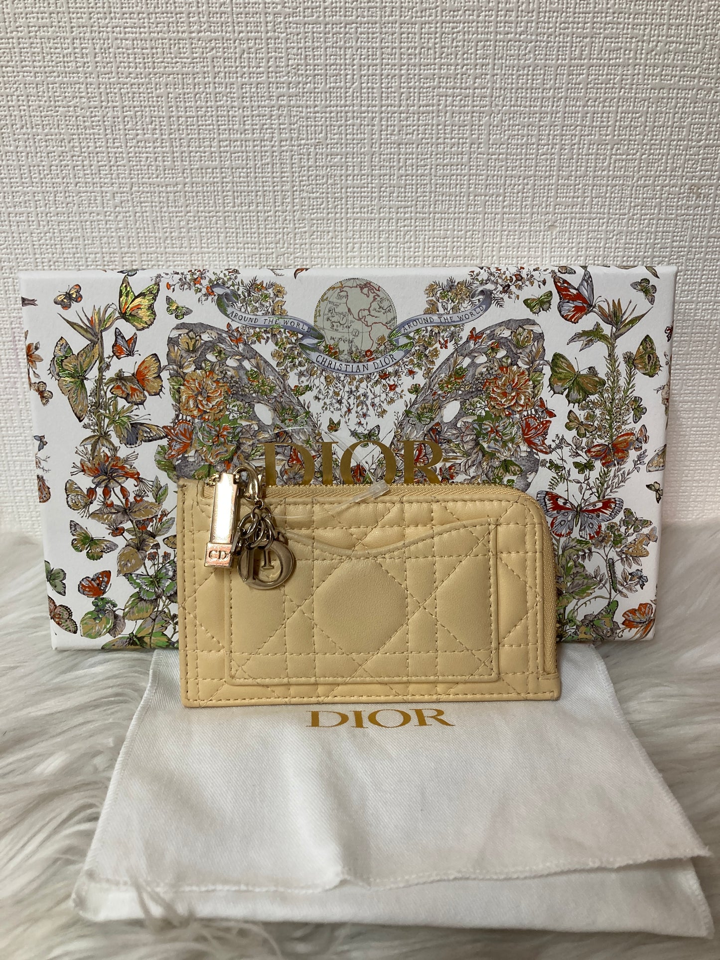 Dior Small goods A-14809