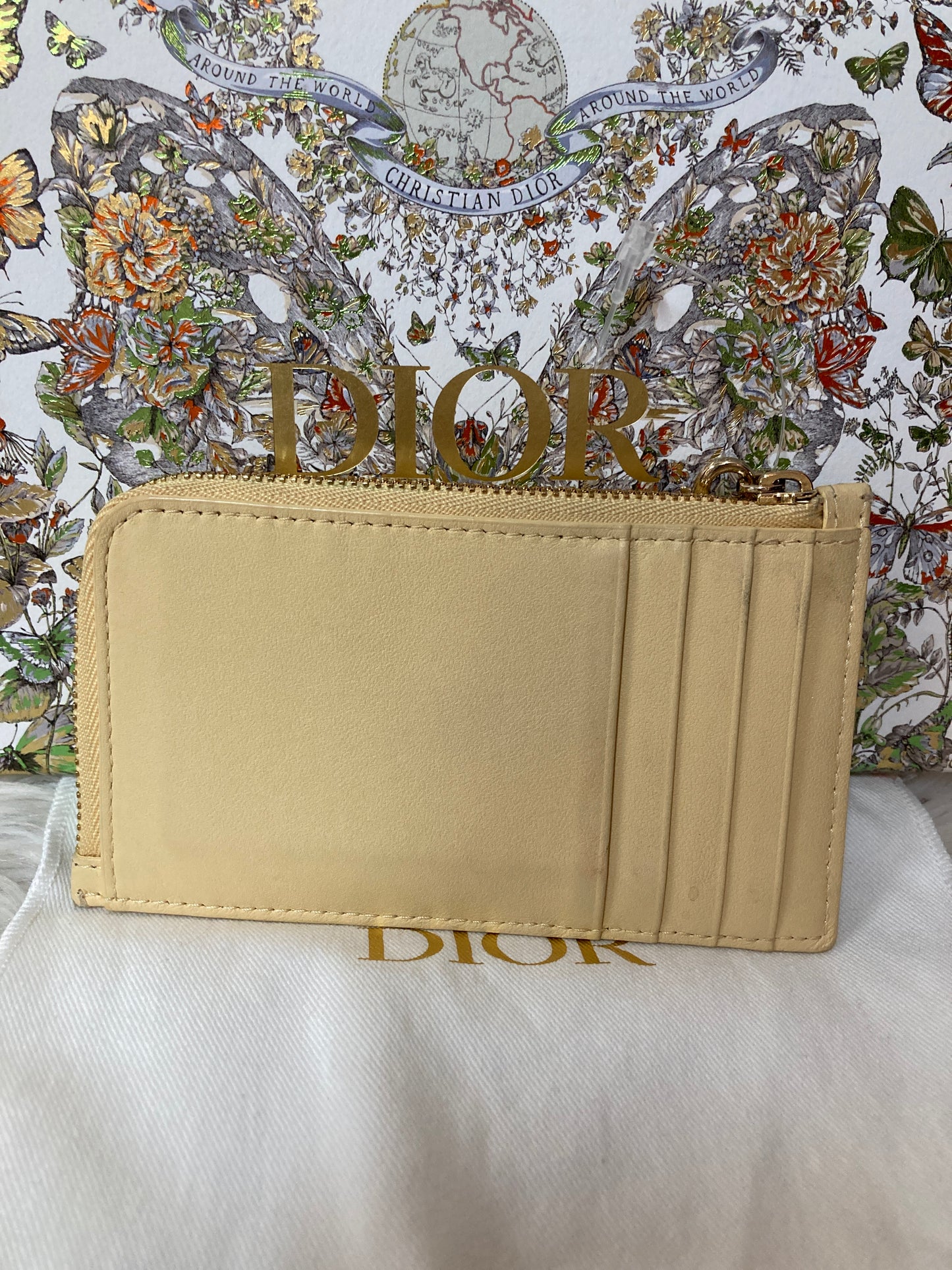 Dior Small goods A-14809