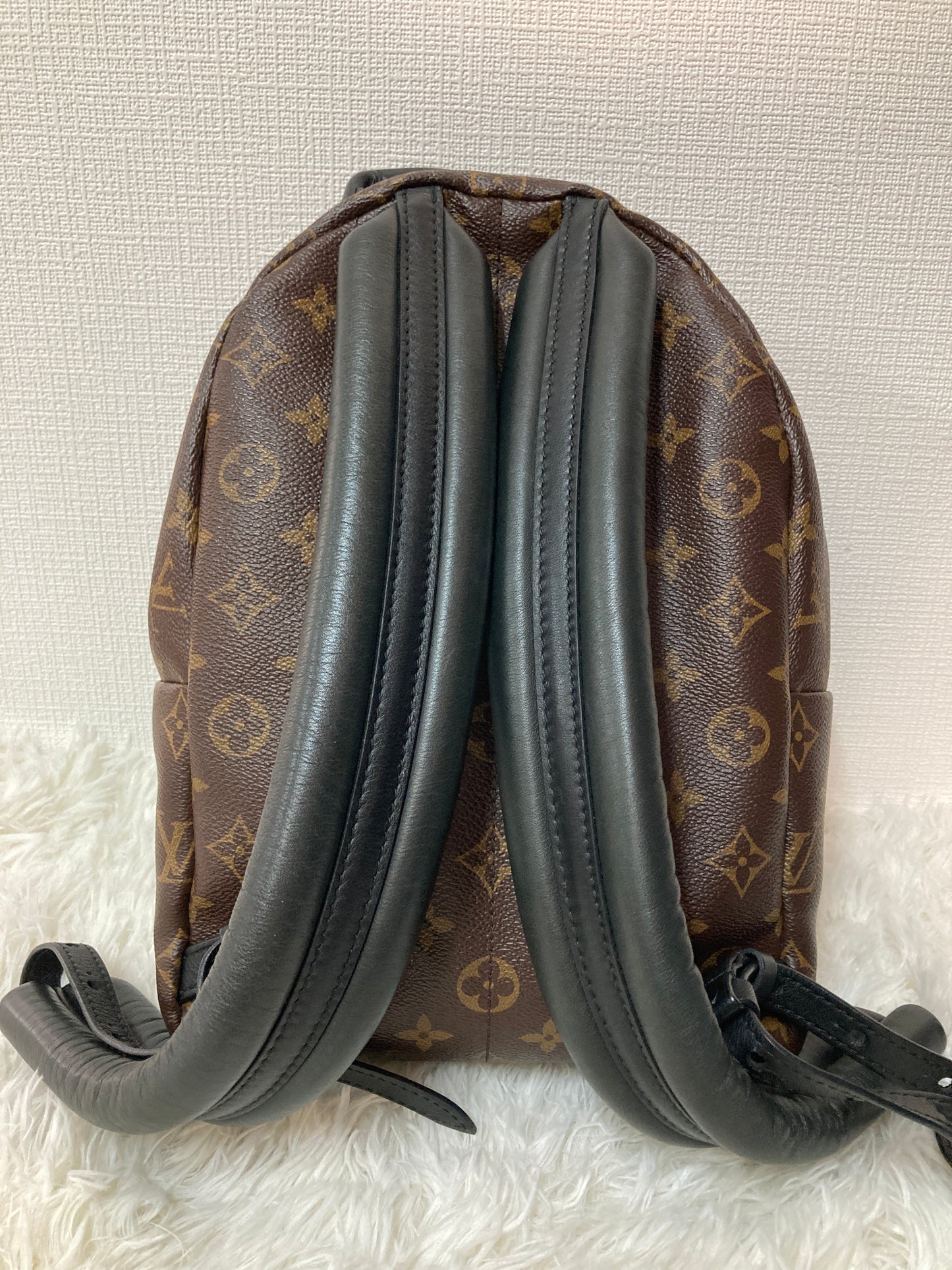 ルイ・ヴィトン Backpacks A-14834