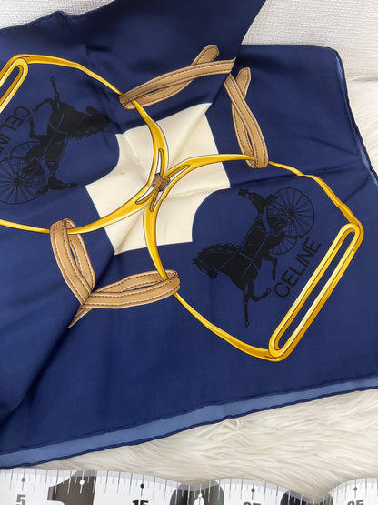 Celine Blue Scarves A-15455