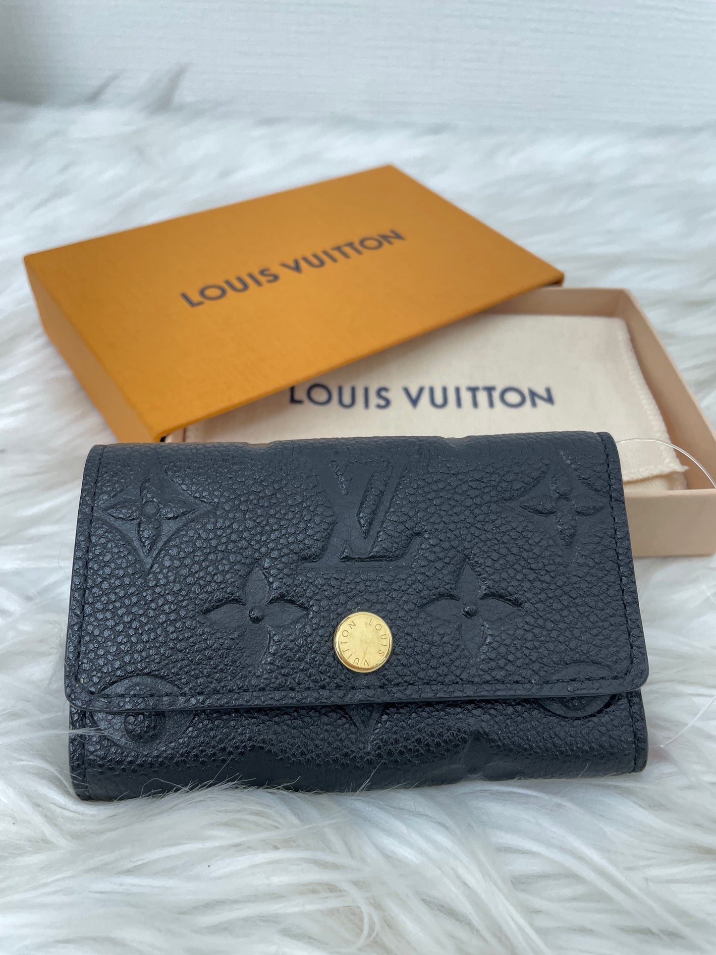 Louis Vuitton Black Small goods A-15566