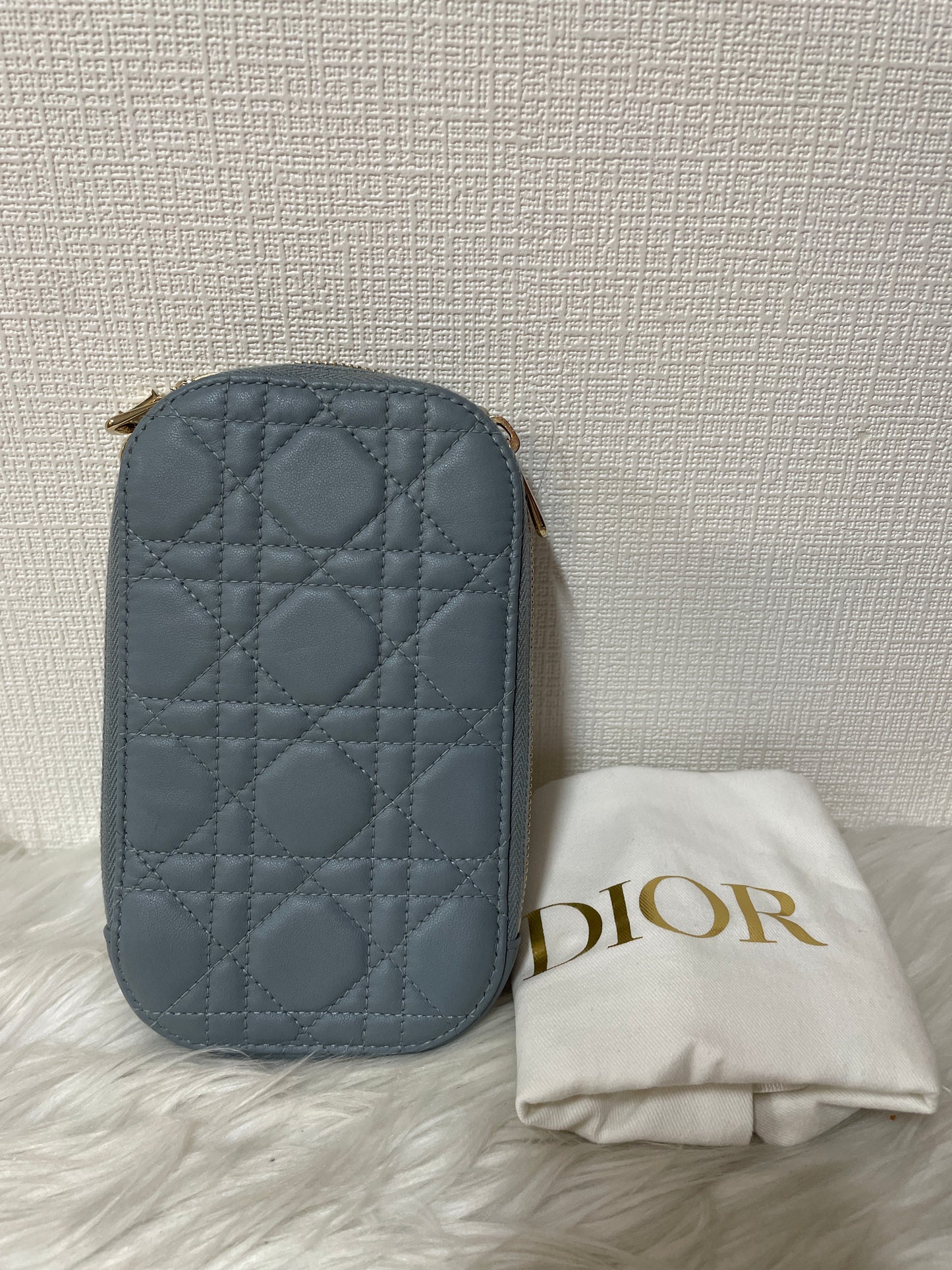 Dior Blue Pouches A-15574