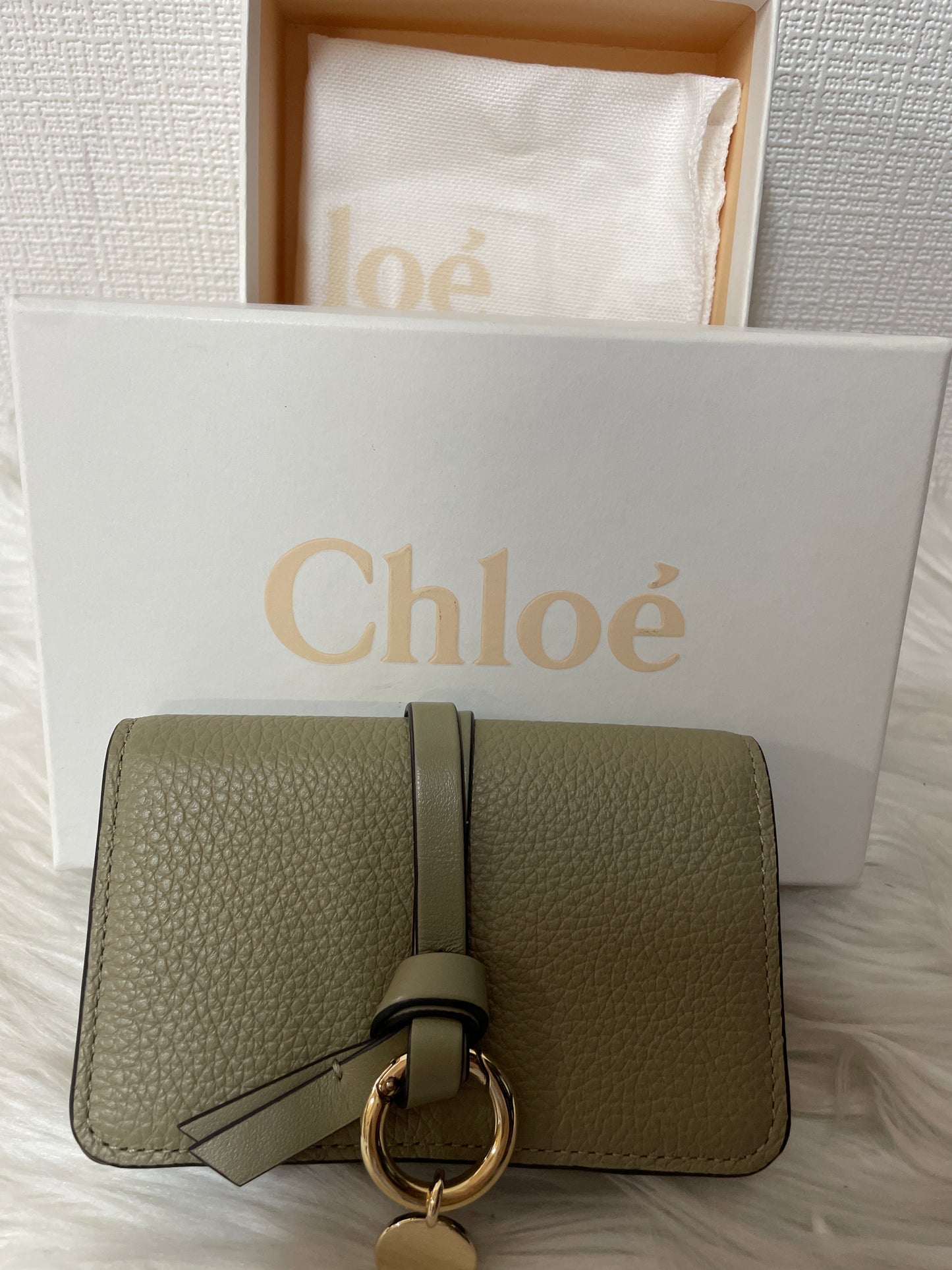 Chloe Small goods A-16114