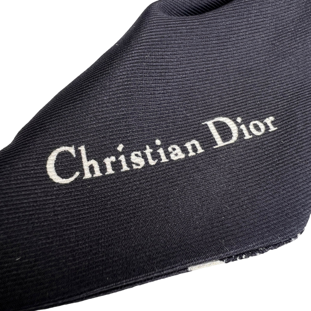 Dior Blue Scarves A-16491