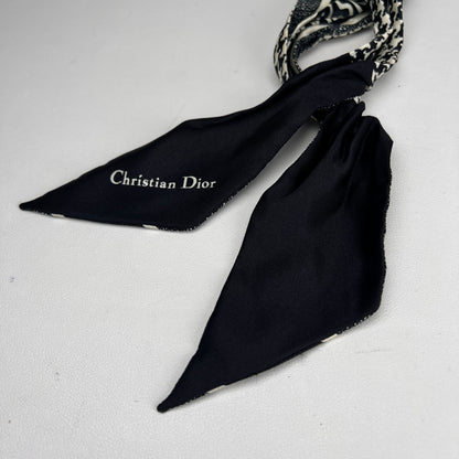 Dior Blue Scarves A-16491