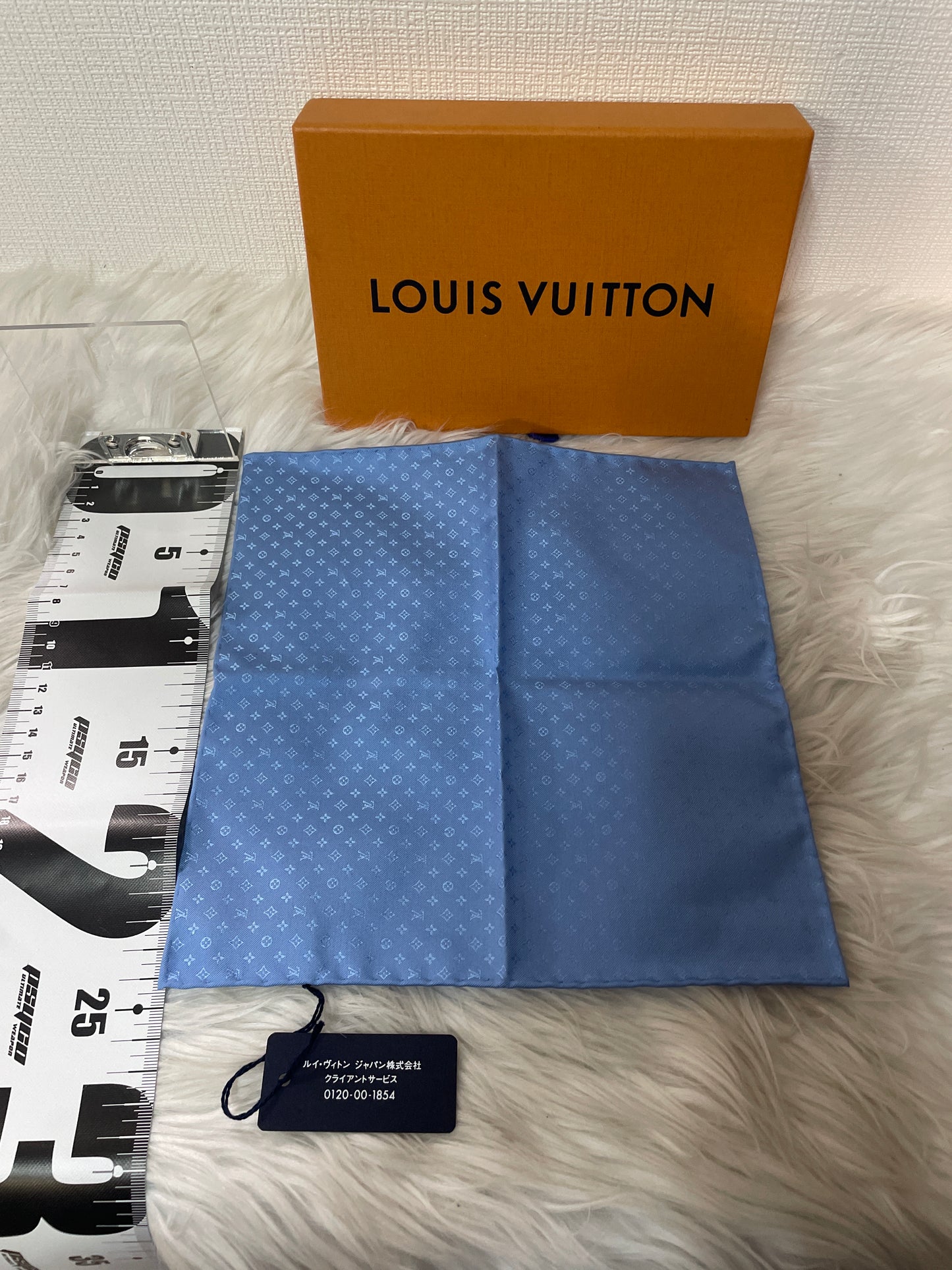 Louis Vuitton Blue Scarves A-16617