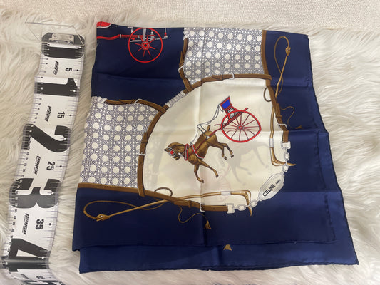 Celine Blue Scarves A-16733