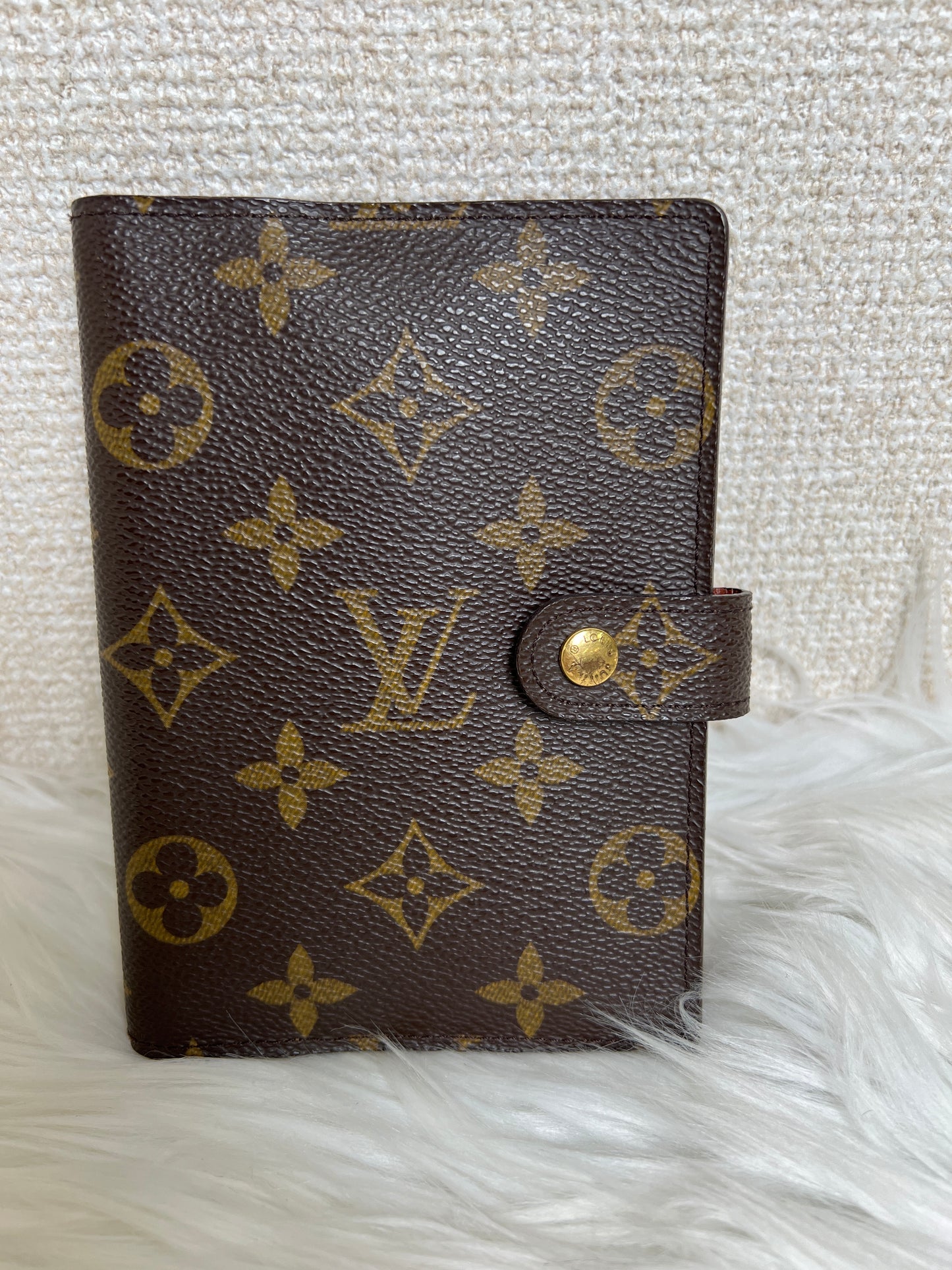 Louis Vuitton Brown Pouches A-16741