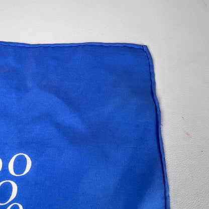 Dior Blue Scarves A-16898