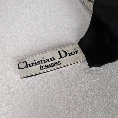 Dior Gray Scarves A-17212