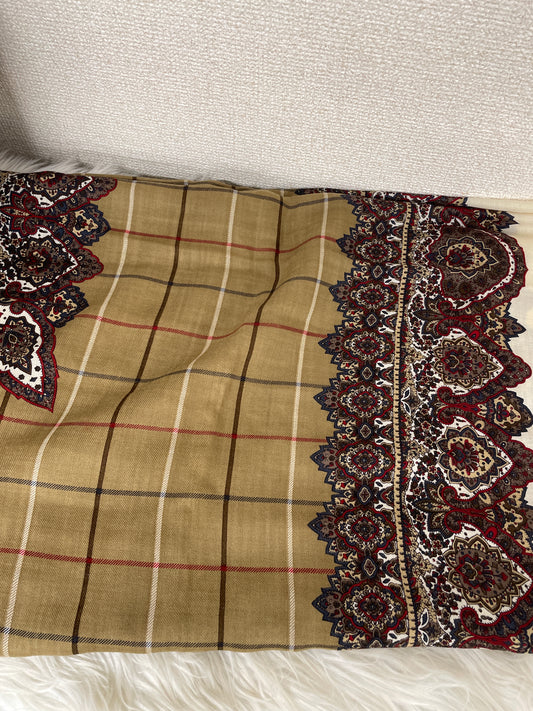Burberry Brown Scarves A-17214