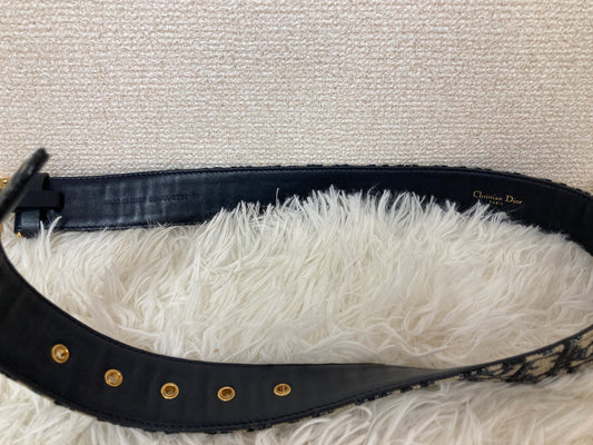 Dior Navy Belts A-17270