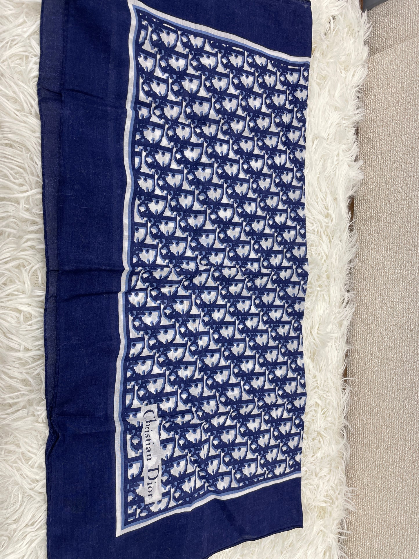 Dior Blue Scarves A-17618