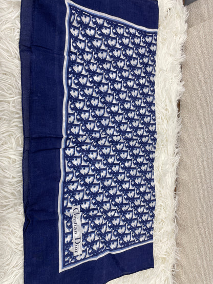 Dior Blue Scarves A-17618