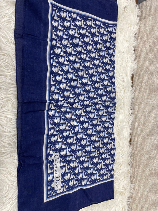 Dior Blue Scarves A-17618