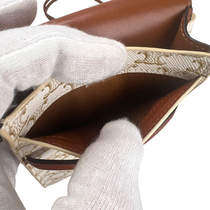 Celine Brown Shoulder Bags A-17654