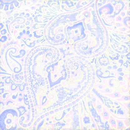 Dior Brown Scarves A-17719