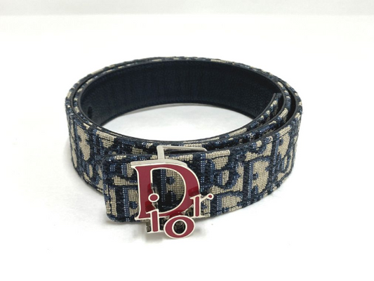 Dior Multicolor Belts A-17762