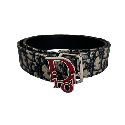 Dior Multicolor Belts A-17762