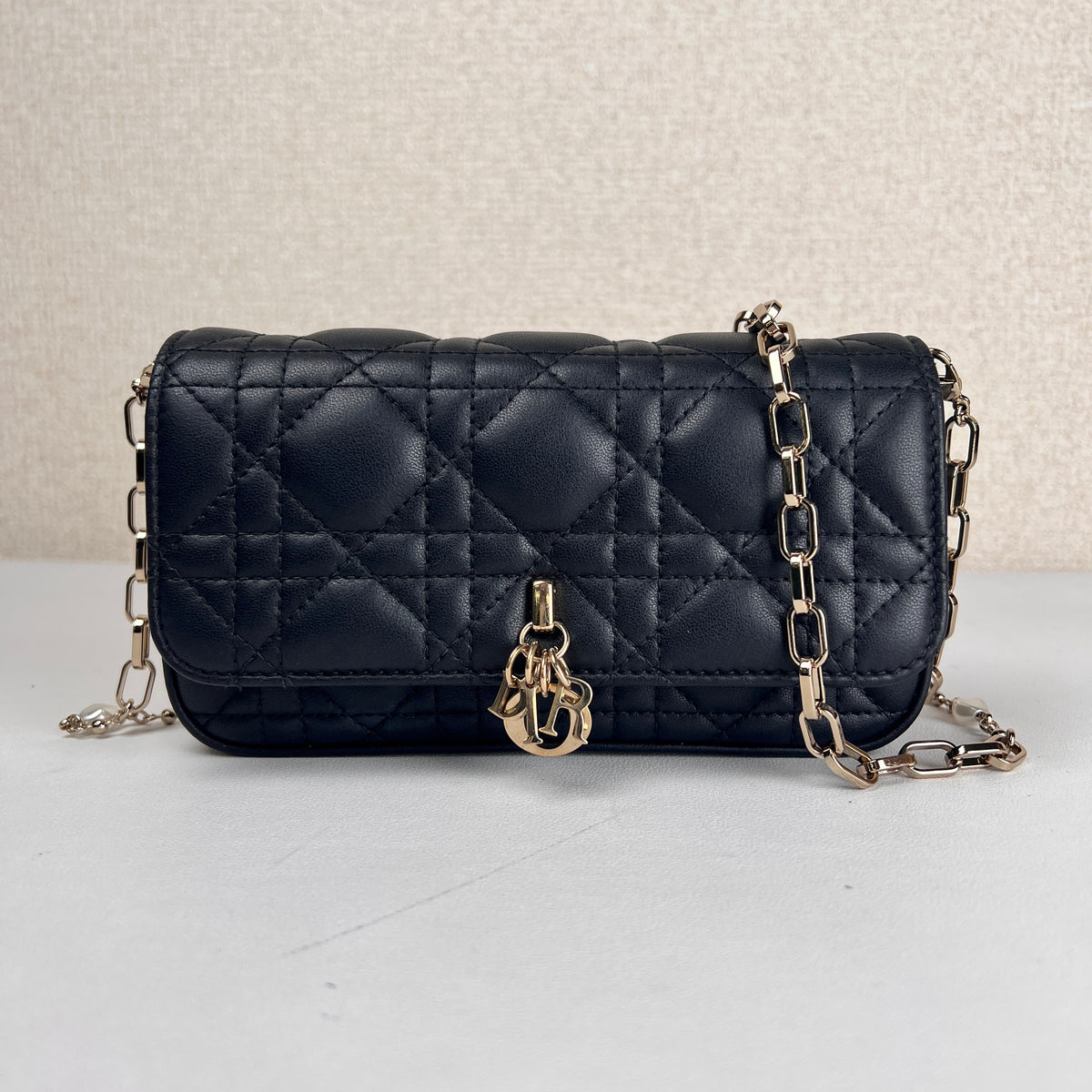 Dior Black Shoulder Bags A-17796