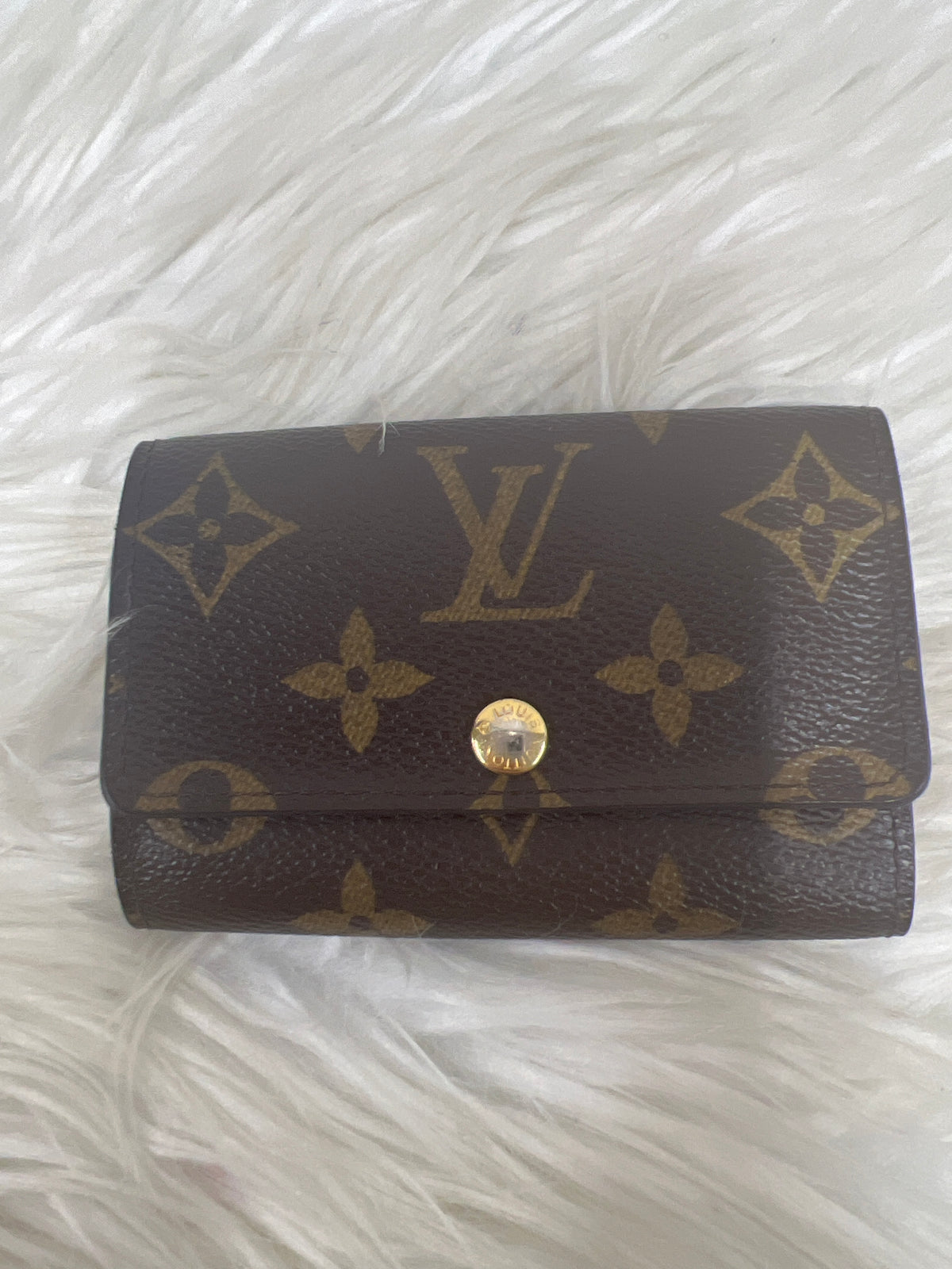 Louis Vuitton Brown Small goods A-18584