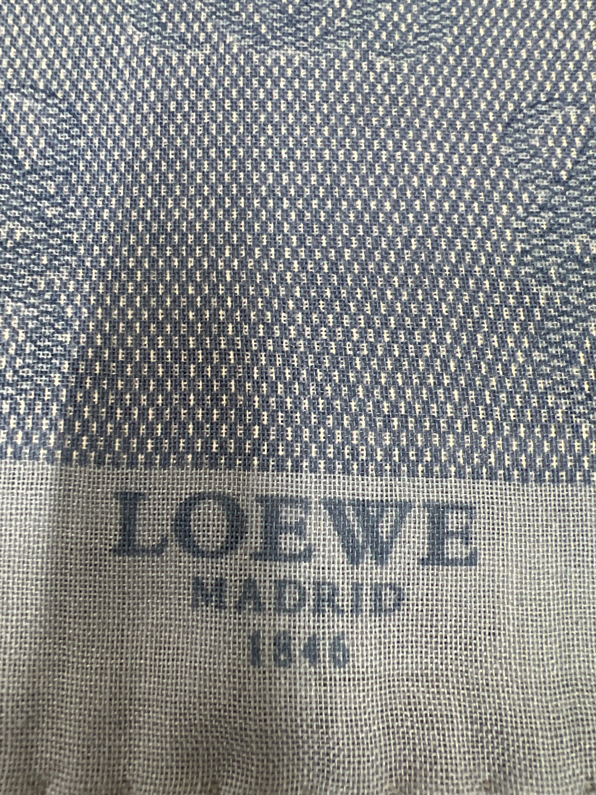 Loewe Blue Scarves A-18710
