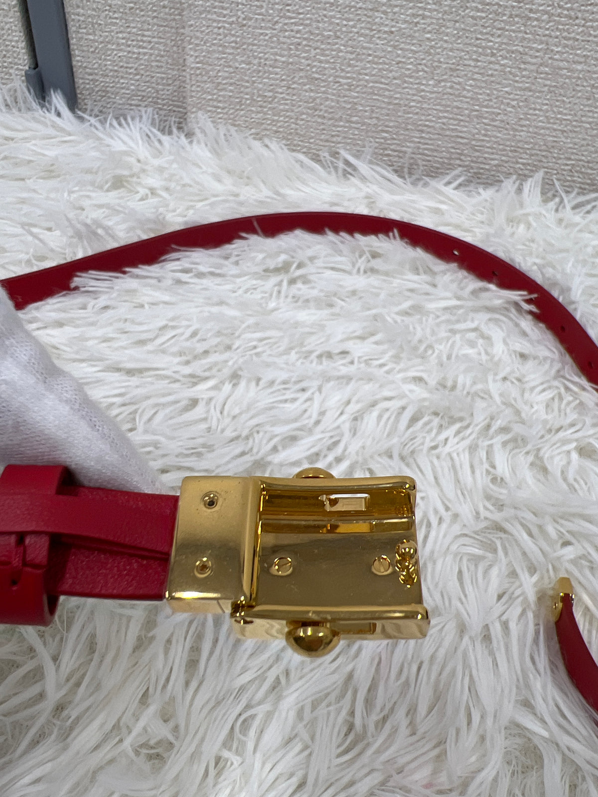 Dior Red Belts A-18766
