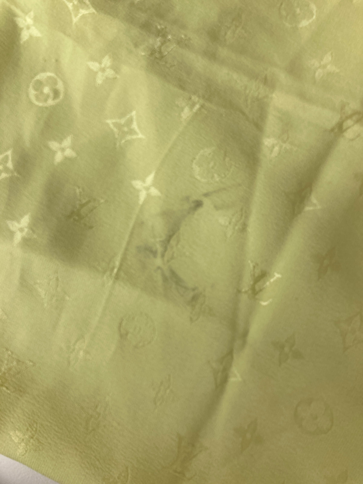 Louis Vuitton Green Scarves A-18933