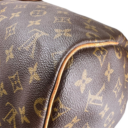Louis Vuitton Brown Travel Bags A-18960