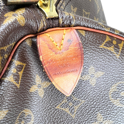 Louis Vuitton Brown Travel Bags A-19010