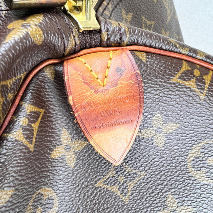 Louis Vuitton Brown Travel Bags A-19010