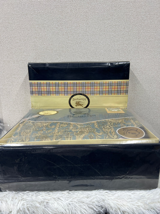 Burberry Blue Scarves A-19066