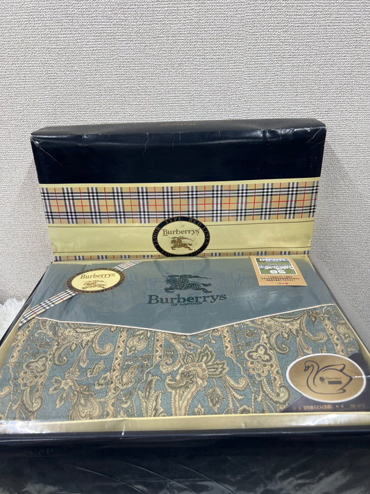 Burberry Blue Scarves A-19066