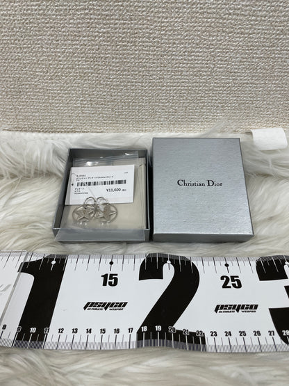 Dior Silver Earrings A-20151
