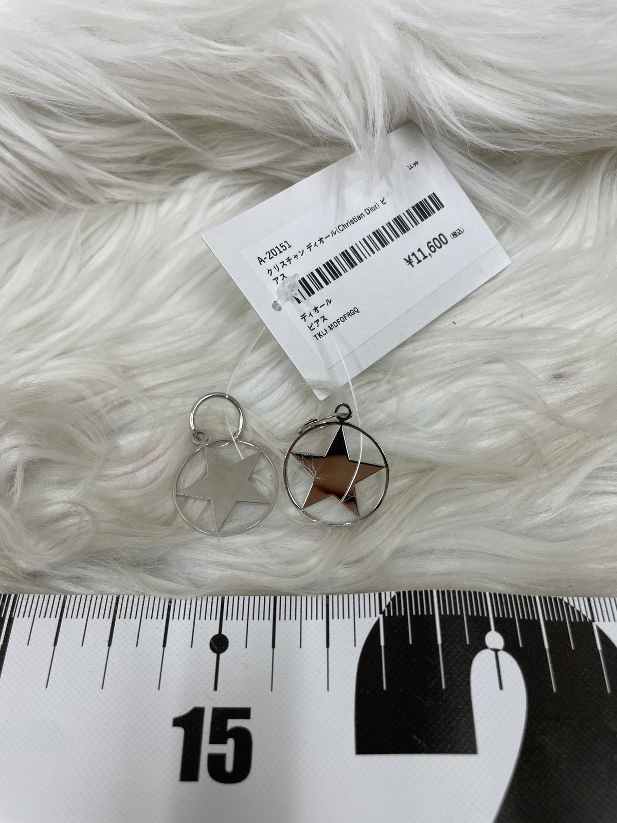 Dior Silver Earrings A-20151